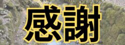 【感謝】おかげさまで特殊清掃リライブル㈱は10周年をむかえることが出来ました